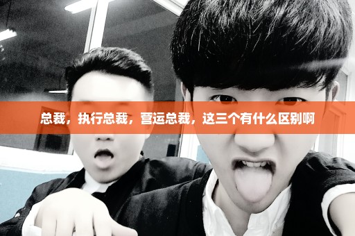 总裁，执行总裁，营运总裁，这三个有什么区别啊