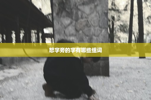 恕字旁的字有哪些组词