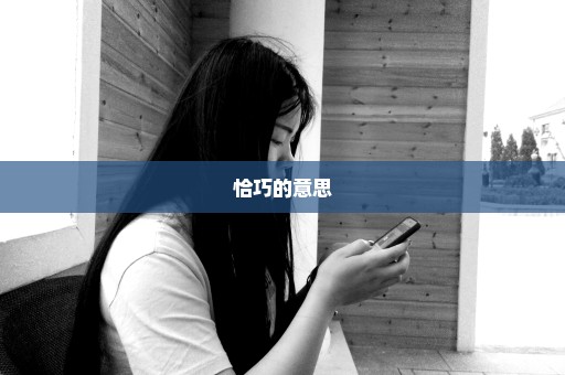 恰巧的意思