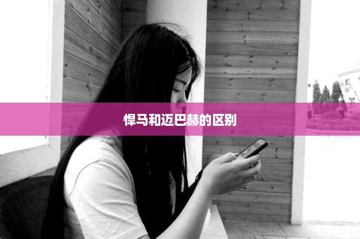 悍马和迈巴赫的区别