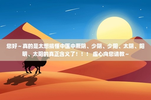 您好～真的是太想搞懂中医中厥阴、少阴、少阳、太阴、阳明、太阳的真正含义了！！！ 虚心向您请教～