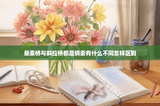 悬索桥与斜拉桥都是钢索有什么不同怎样区别