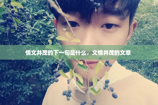情文并茂的下一句是什么，文情并茂的文章 