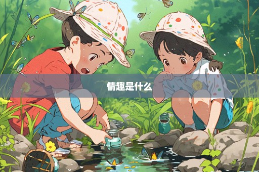 情趣是什么