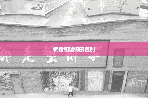 惋惜和遗憾的区别