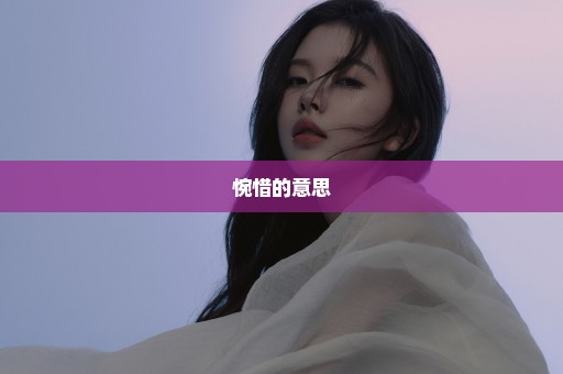 惋惜的意思