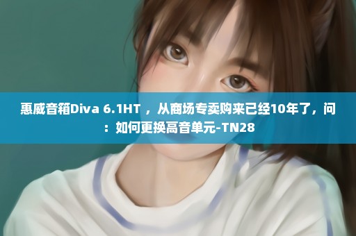 惠威音箱Diva 6.1HT ，从商场专卖购来已经10年了，问：如何更换高音单元-TN28