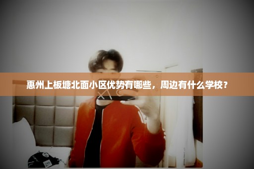 惠州上板塘北面小区优势有哪些，周边有什么学校？