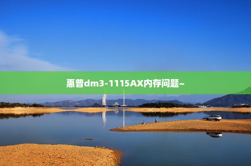 惠普dm3-1115AX内存问题~