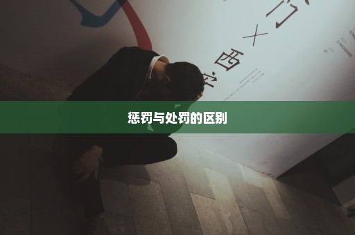 惩罚与处罚的区别