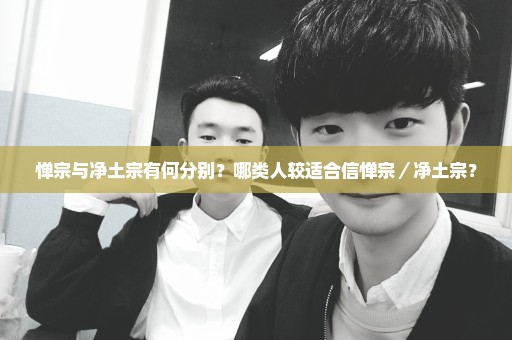 惮宗与净土宗有何分别？哪类人较适合信惮宗／净土宗？