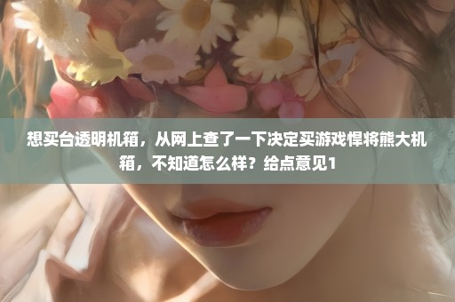 想买台透明机箱，从网上查了一下决定买游戏悍将熊大机箱，不知道怎么样？给点意见1