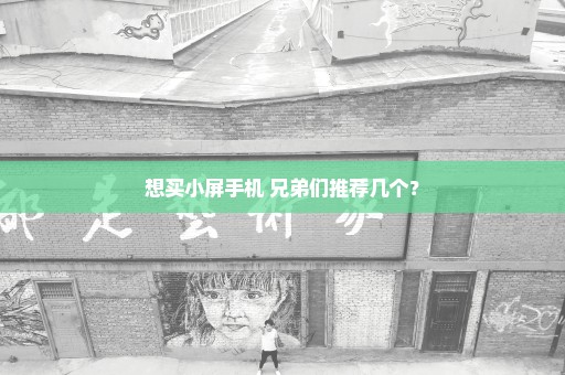 想买小屏手机 兄弟们推荐几个？