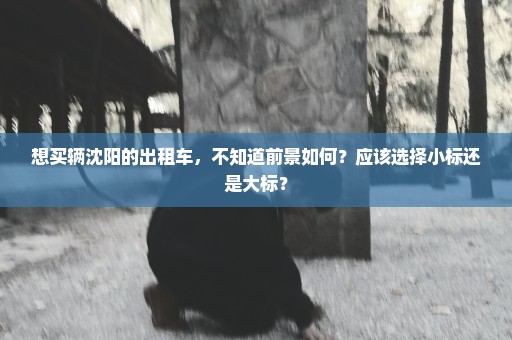想买辆沈阳的出租车，不知道前景如何？应该选择小标还是大标？