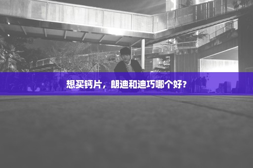 想买钙片，朗迪和迪巧哪个好？