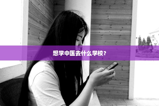 想学中医去什么学校？