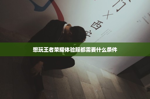 想玩王者荣耀体验服都需要什么条件