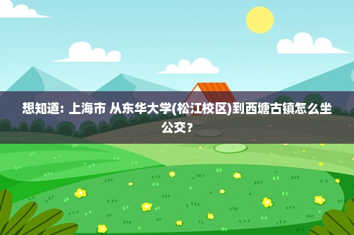 想知道: 上海市 从东华大学(松江校区)到西塘古镇怎么坐公交？