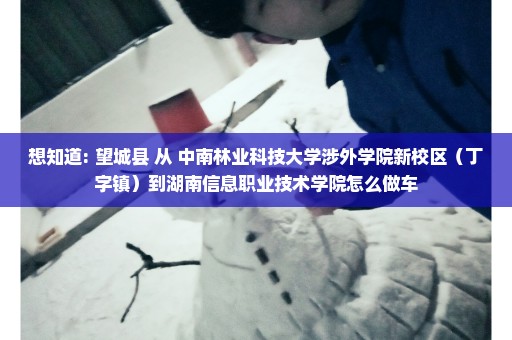 想知道: 望城县 从 中南林业科技大学涉外学院新校区（丁字镇）到湖南信息职业技术学院怎么做车