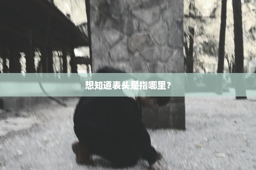 想知道表头是指哪里？