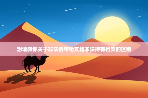 想请教你关于非法携带枪支和非法持有枪支的区别