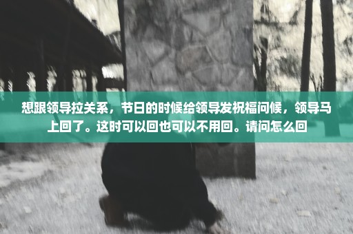 想跟领导拉关系，节日的时候给领导发祝福问候，领导马上回了。这时可以回也可以不用回。请问怎么回