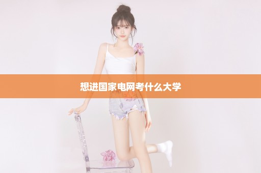 想进国家电网考什么大学