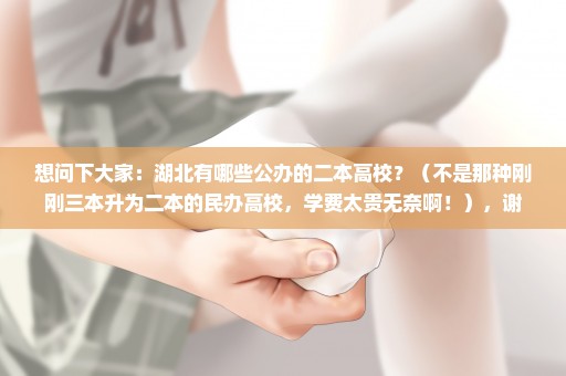 想问下大家：湖北有哪些公办的二本高校？（不是那种刚刚三本升为二本的民办高校，学费太贵无奈啊！），谢