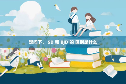 想问下， SD 和 BJD 的 区别是什么