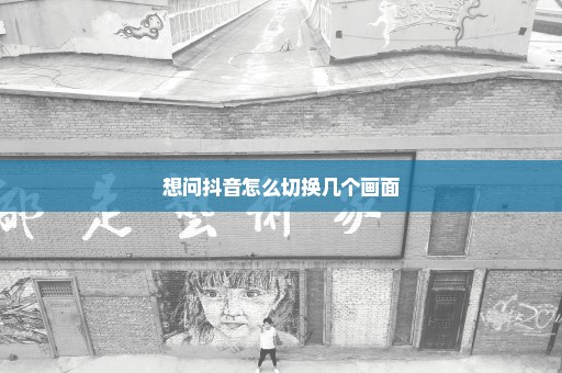 想问抖音怎么切换几个画面