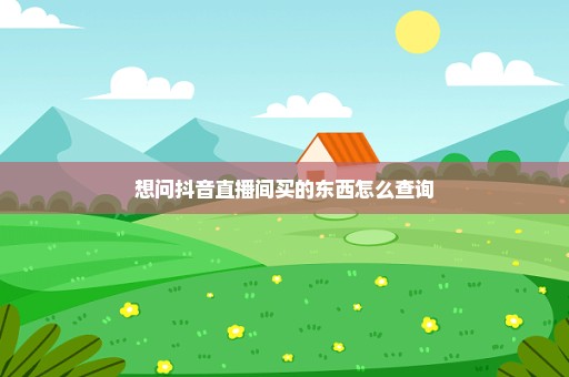 想问抖音直播间买的东西怎么查询