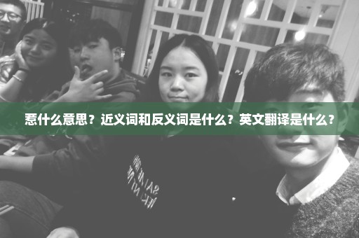 惹什么意思？近义词和反义词是什么？英文翻译是什么？