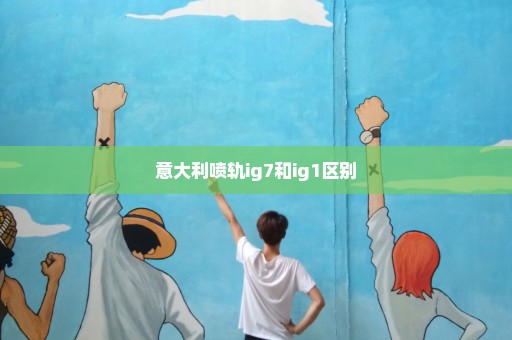 意大利喷轨ig7和ig1区别
