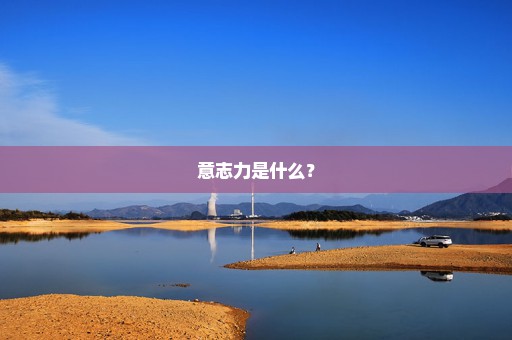 意志力是什么？