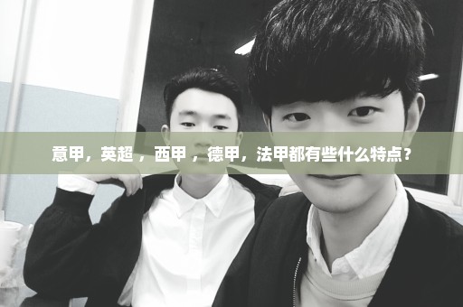 意甲，英超 ，西甲 ，德甲，法甲都有些什么特点？