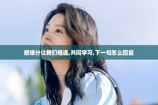 感缘分让我们相遇,共同学习,下一句怎么回复