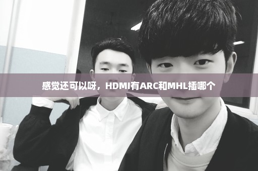 感觉还可以呀，HDMI有ARC和MHL插哪个