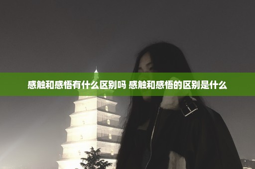 感触和感悟有什么区别吗 感触和感悟的区别是什么