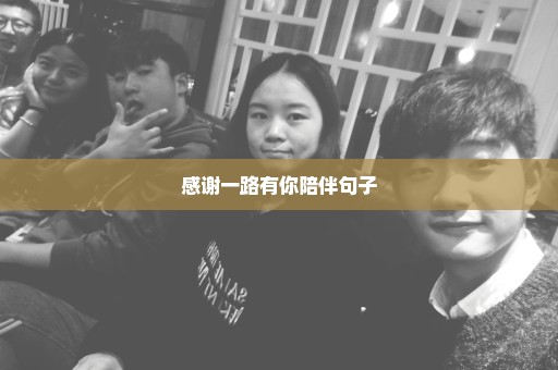感谢一路有你陪伴句子