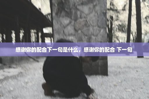 感谢你的配合下一句是什么，感谢你的配合 下一句 