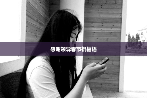 感谢领导春节祝福语