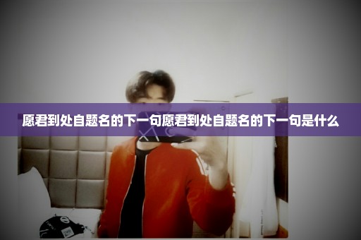 愿君到处自题名的下一句愿君到处自题名的下一句是什么