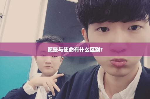 愿景与使命有什么区别?