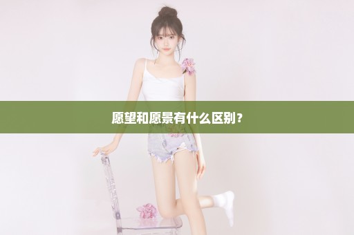愿望和愿景有什么区别？