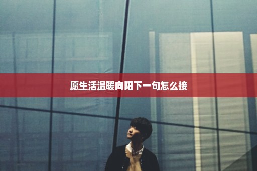 愿生活温暖向阳下一句怎么接