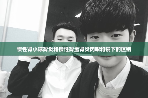 慢性肾小球肾炎和慢性肾盂肾炎肉眼和镜下的区别