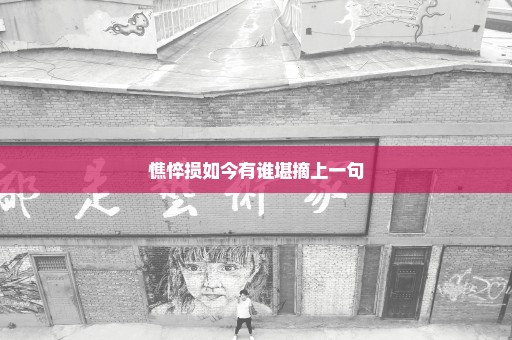 憔悴损如今有谁堪摘上一句