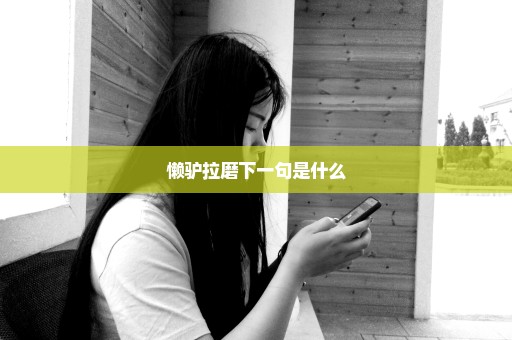 懒驴拉磨下一句是什么