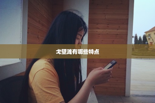 戈壁滩有哪些特点