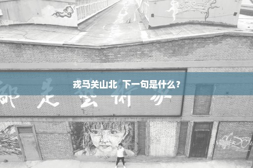 戎马关山北  下一句是什么？